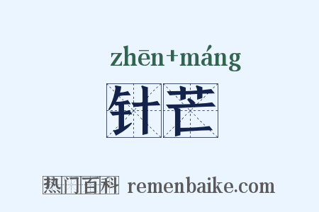 针芒是什么意思的图片